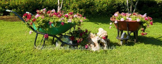 Gardening North West London, Gardening Gardening North West London, Landscape