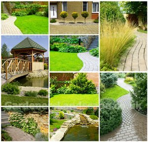 Gardening North West London and Landscape